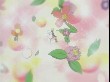 OUTPUT_001603.jpg
